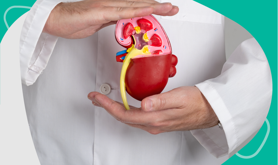 que es la hemodialisis