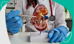 conoce las etapas del fallo renal en México