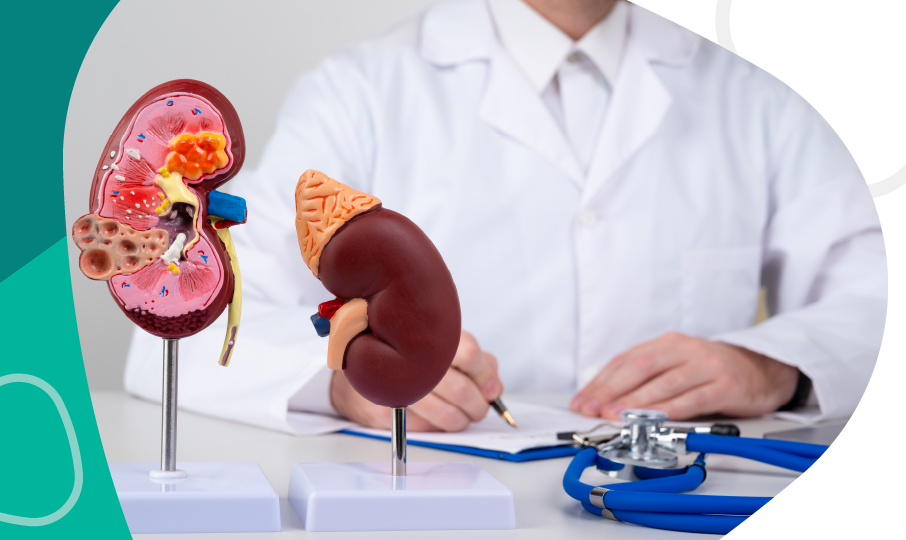 Datos y estadísticas sobre la insuficiencia renal en México